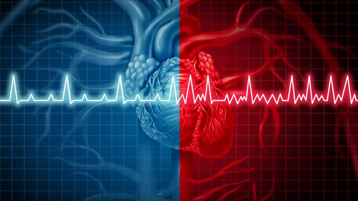 Atrial fibrillation and normal or abnormal heart rate rythm as a cardiac disorder as a human organ with healthy and unhealthy ecg monitoring in a 3D illustration style.