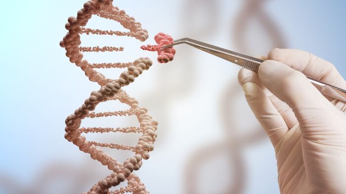 Hand is replacing part of a DNA molecule