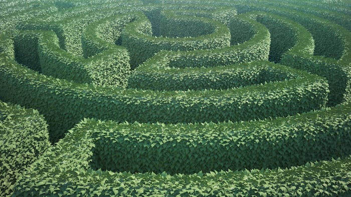 Hedge maze
