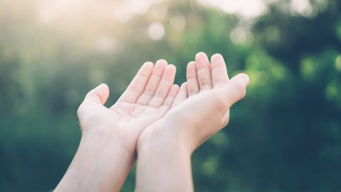 Pair of outstretched hands held open
