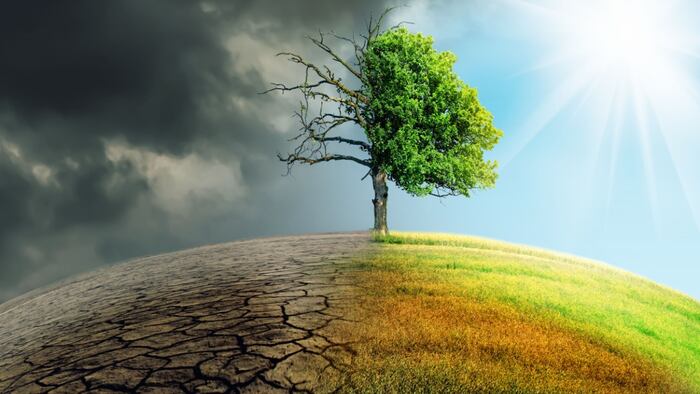 Depiction of climate breakdown