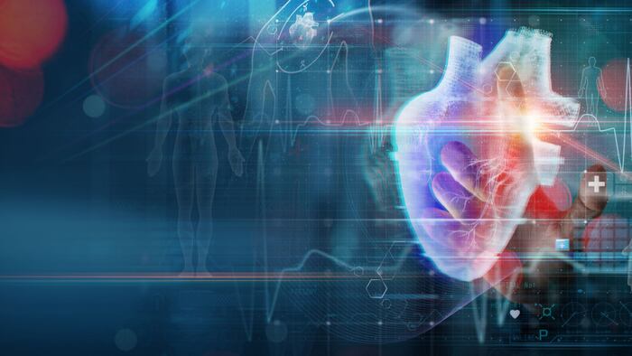 image of the heart (organ)