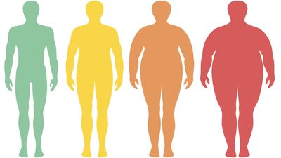 The Future Of Obesity