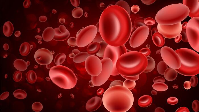 Blood cells