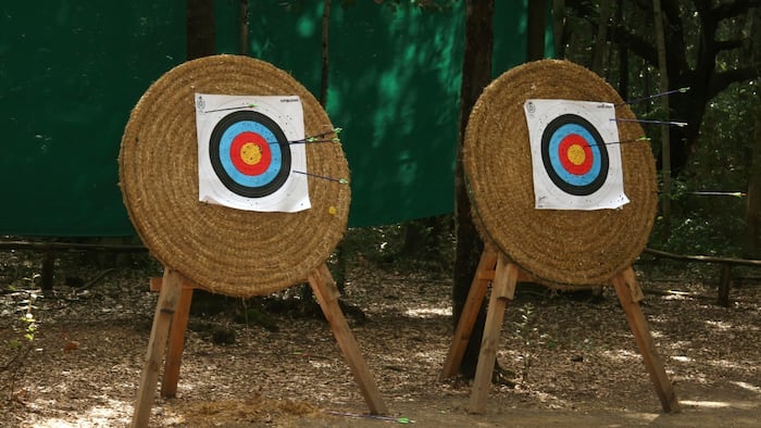 twin targets
