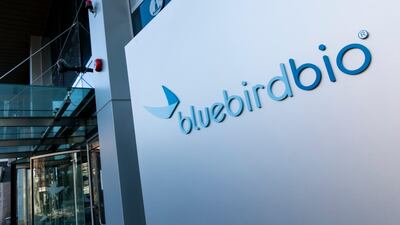 Funding Infusion Won't Cure Bluebird Of Its Problems