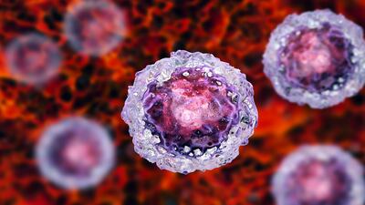 How Cellino’s Cassette Technology Will Impact Regenerative Medicine