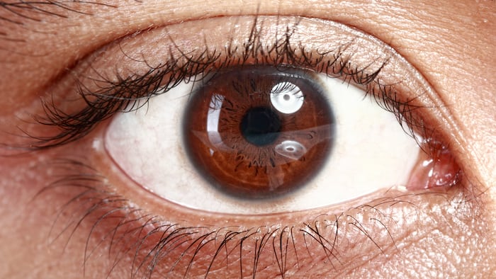 Eye