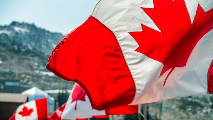 Canadian flags