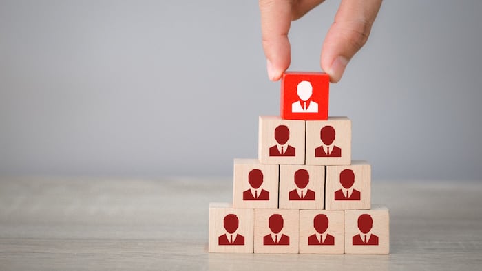 Wooden Blocks Management CEO Appointment
