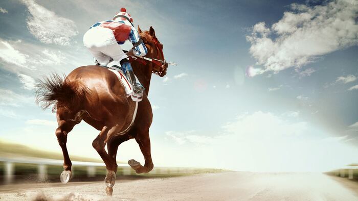 Racing horse