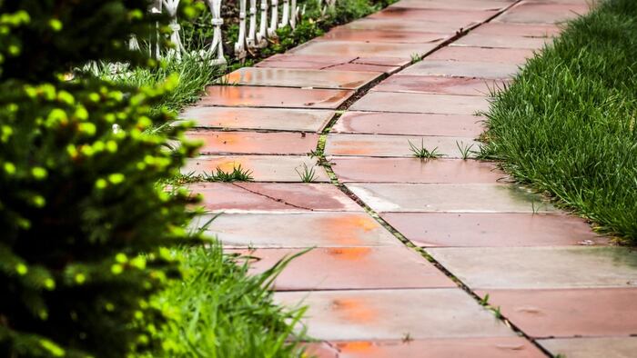 Pathway