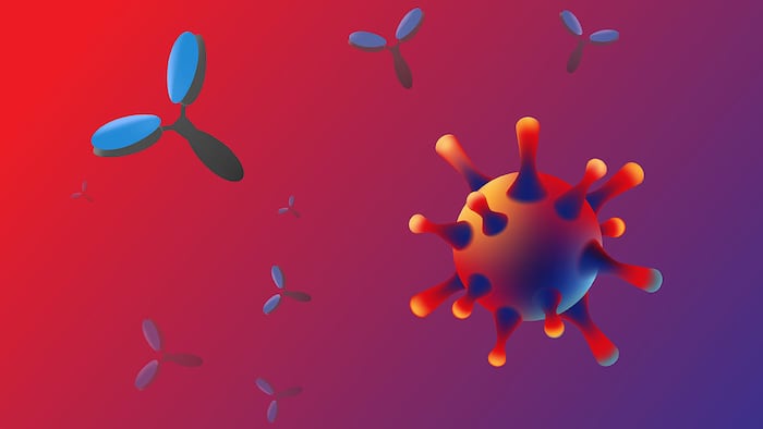 Vector illustration of monoclonal antibody for coronavirus treatment