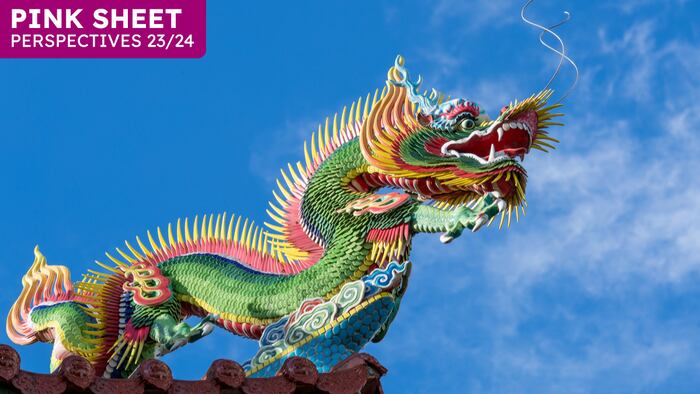 colorful dragon
