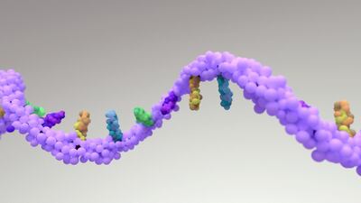 Roche Adds Ascidian’s RNA-Writing To Its Neurology Push