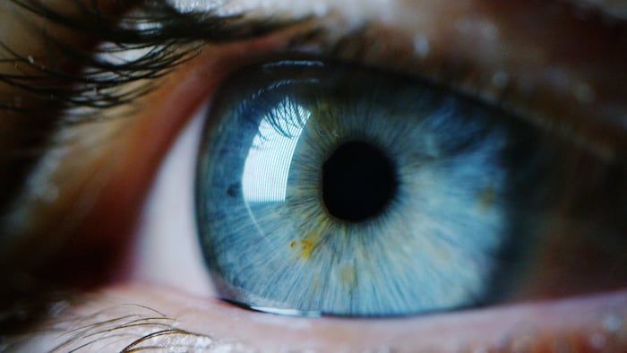 perfect blue eye macro in a sterile environment and perfect vision in resolution 6k, concept, the vision of the future and healthy life concept. view precise and straight to the target.