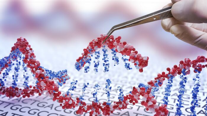 Genetic engineering, GMO and Gene manipulation concept. Hand is inserting sequence of DNA. 3D illustration of DNA.