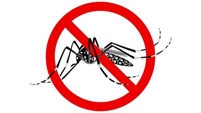 Takeda Takes Collaborative, Educational Approach In Thai Dengue Initiative