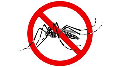 Takeda Takes Collaborative, Educational Approach In Thai Dengue Initiative