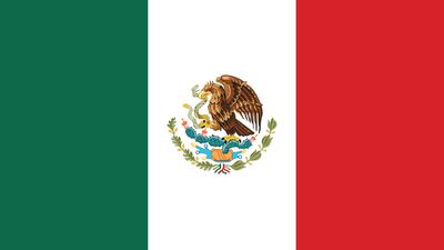 Mexico’s Health Care Agency Alleges Zimmer Fraud