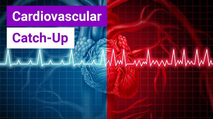 Cardiovascular Catch-Up