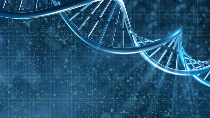 DNA