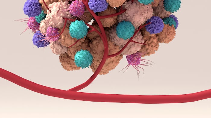 Tumor microenvironment