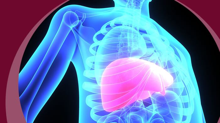 liver