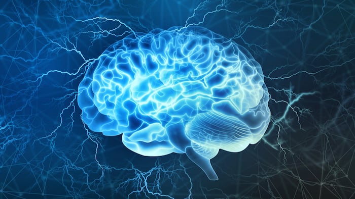 Digital_Human_Brain