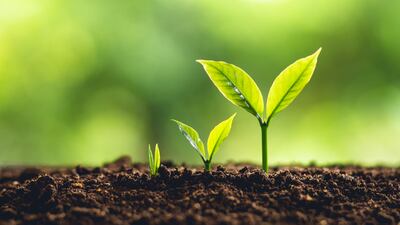 How To Grow A Biotech - Insights From Scientist-Entrepreneurs