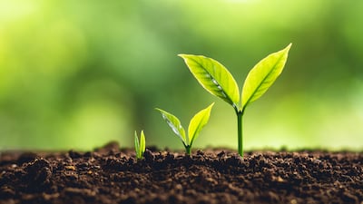 How To Grow A Biotech - Insights From Scientist-Entrepreneurs