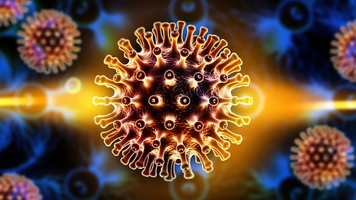 Virus