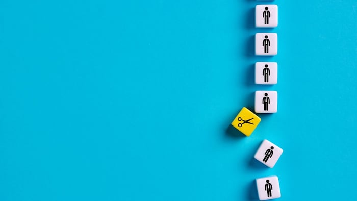 Several Japanese pharmaceutical firms have announced layoffs this year.