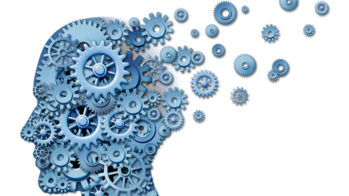 Brain