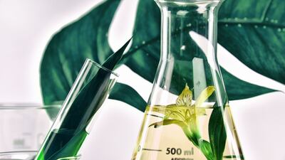 L’Oreal Partners To Develop Fine Fragrances Featuring ‘100% Natural And Pure Scent Extracts’