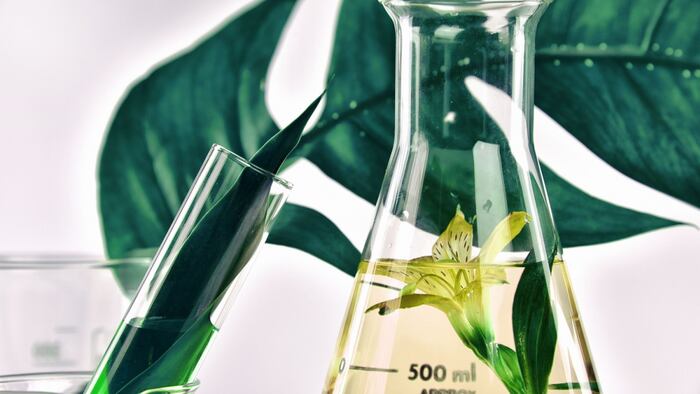 Green fragrance