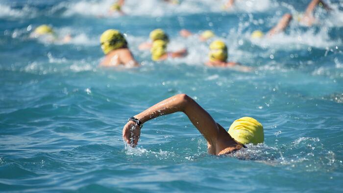 Swimmer