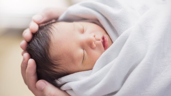 Portrait of asian parent hands holding newborn baby