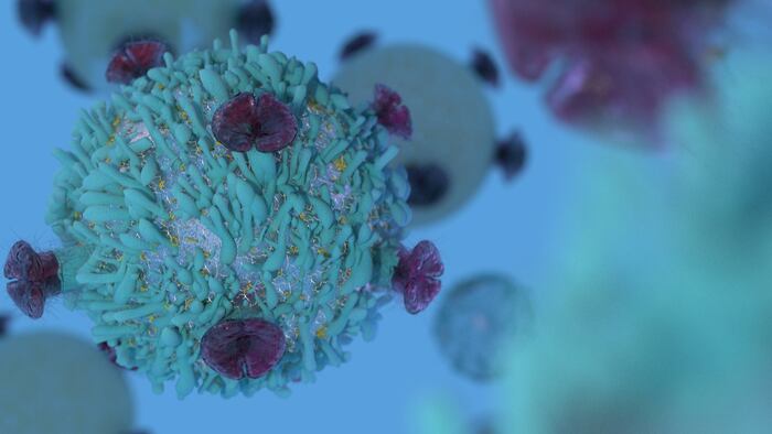 T Cell lymphocyte with receptors for cancer cell immunotherapy research 3D render