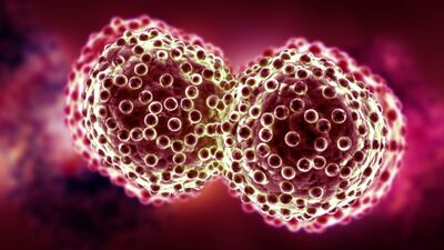Guardant360 Lung-Cancer Assay Beats Tissue Genotyping In NILE