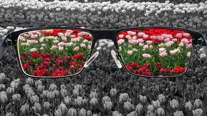 Eye glasses
