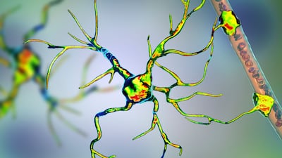 HI-Health-Premium: ‘Data Article’ article that includes different Composer content - Clone