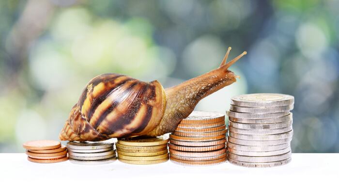 Coins_Snail