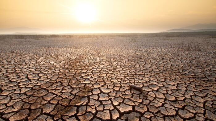 dry land