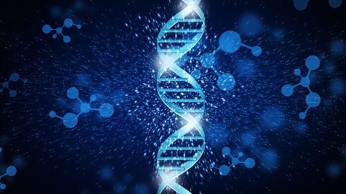 DNA helix