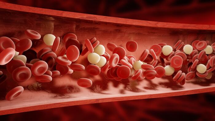 Blood cells