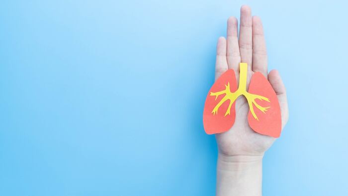 Hands holding paper lungs on blue background