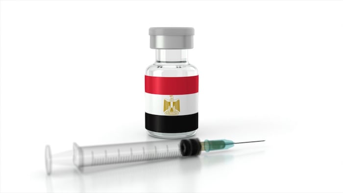 Syringe and vial labelled with Egyptian flag