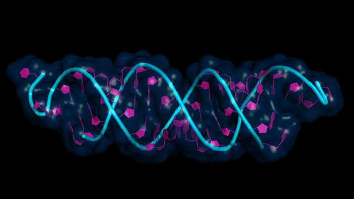 RNA