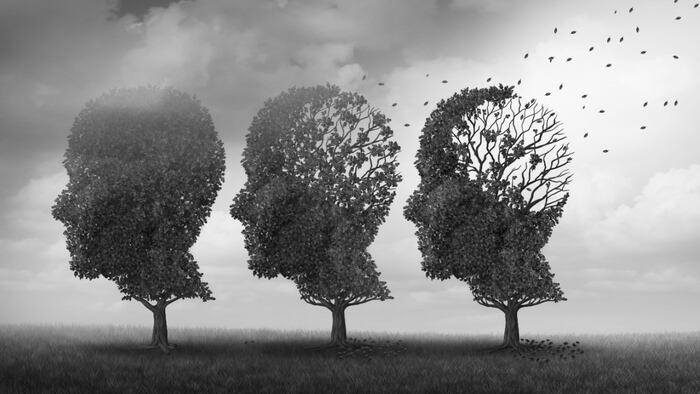 Alzheimer's disease progression